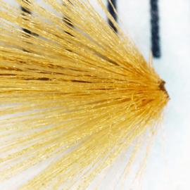   Fruit:   Platanus occidentalis , showing ring of bristles subtending achene; Photo by N. Diaz, USDA APHIS PPQ, imageID.idtools.org
